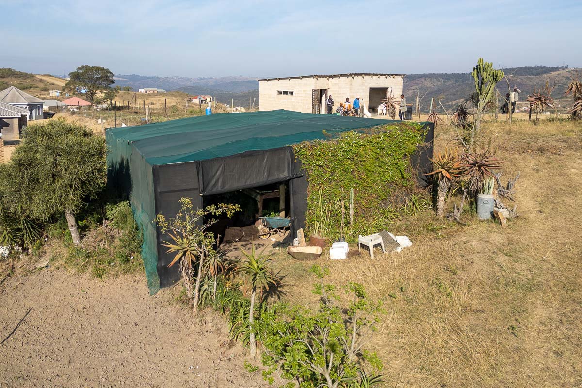 Web Ntuthuko-22